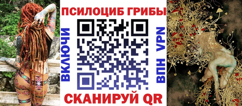 Псилоцибиновые грибы Cubensis  Киров 